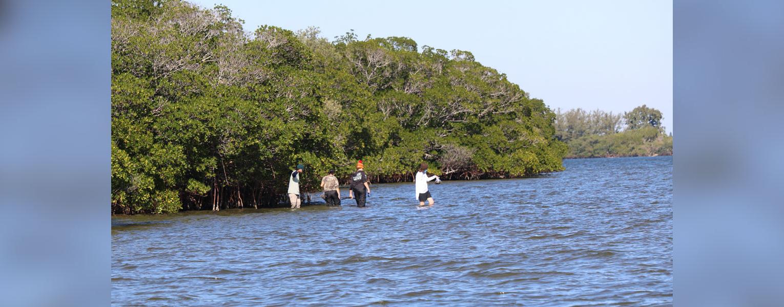 Diving into Marine Science