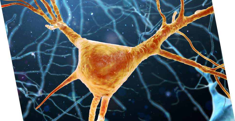 neuron on blue background